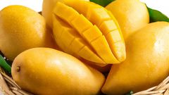Ripe Mangoes (Courtesy)