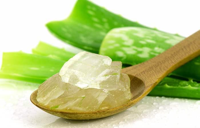 Aloe vera (Courtesy)