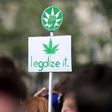 The French Observatory for Drug Use and Addiction reported that 17 million French citizens in 2014 said they had taken cannabis at some point in their lives, and 700,000 used it daily