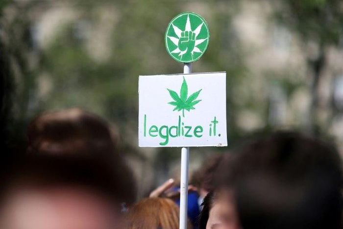 The French Observatory for Drug Use and Addiction reported that 17 million French citizens in 2014 said they had taken cannabis at some point in their lives, and 700,000 used it daily