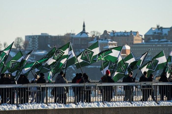The neo-nazi Nordic Resistance Movement sympathisers demonstrate in central Stockholm on November 12, 2016 to protest against migrants