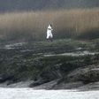 A police officer searches an area on March 8, 2017 in Pont-de-Buis, western France as part of a family murder investigation