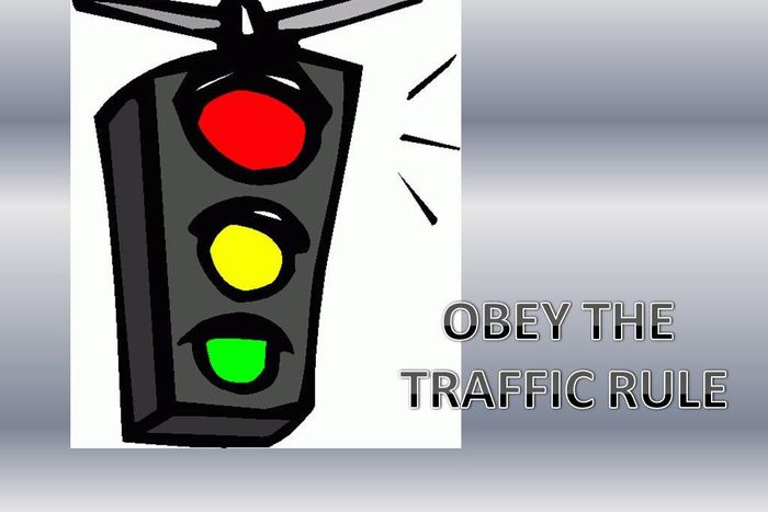 Obey all traffic rules