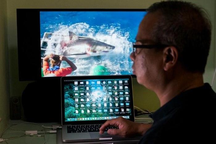 Chan Ming survived a close encounter with a great white shark while cage diving off Guadalupe Island, Mexico