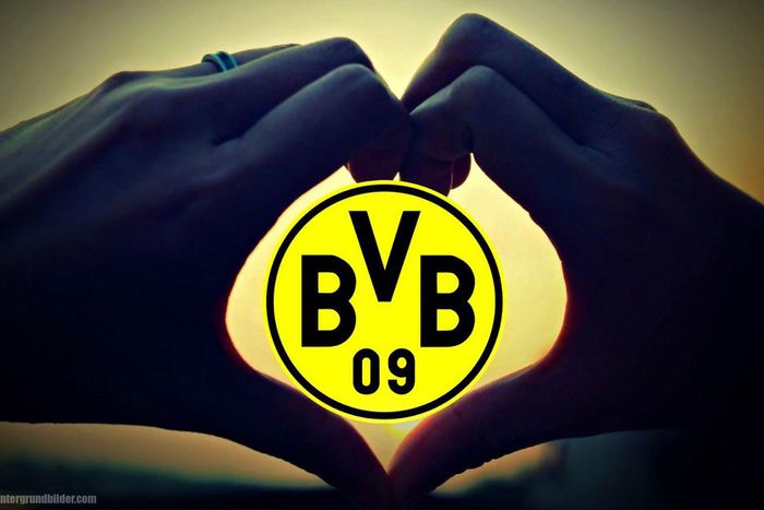 BVB signature of Love