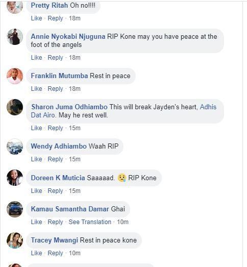 RIP Kone