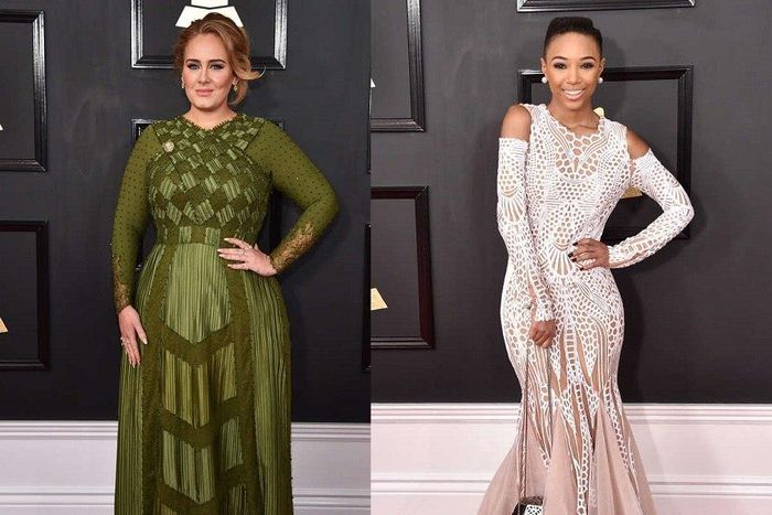 Grammys 2017 Red Carpet