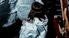 Building a Blockbuster: Behind the Scenes With T. Rex