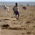 The drought in Kenya has exacerbated clashes between pastoralist communities, which have left over 30 people dead, and also imperilled wildlife