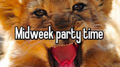 Midweek party
