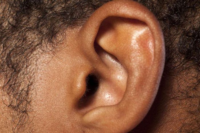 Home remedies for ear infections(Medical News Today)