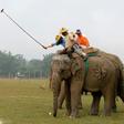 Elephant polo players in action in Nepal's Chitwan district on December 2, 2016