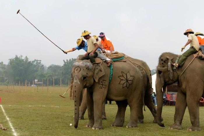 Elephant polo players in action in Nepal's Chitwan district on December 2, 2016