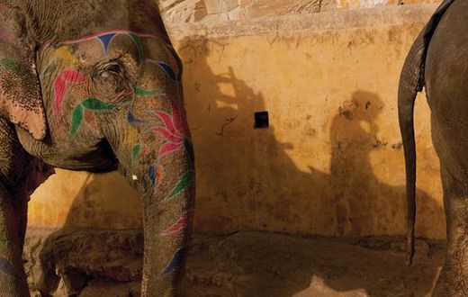 Shadowing the elephant in the room