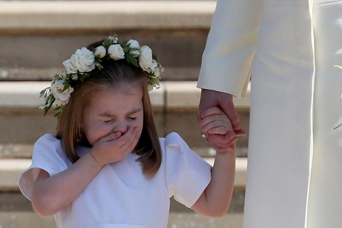 Does Your Heart Really Stop When You Sneeze?