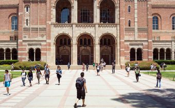 As Students Struggle With Stress and Depression, Colleges Act as Counselors