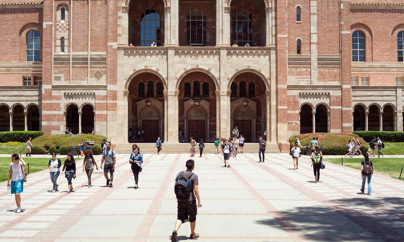 As Students Struggle With Stress and Depression, Colleges Act as Counselors