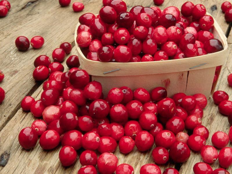 Cranberries(Smithsonian Magazine)