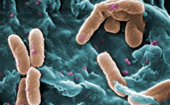 Culture of Secrecy Shields Hospitals With Outbreaks of Drug-Resistant Infections