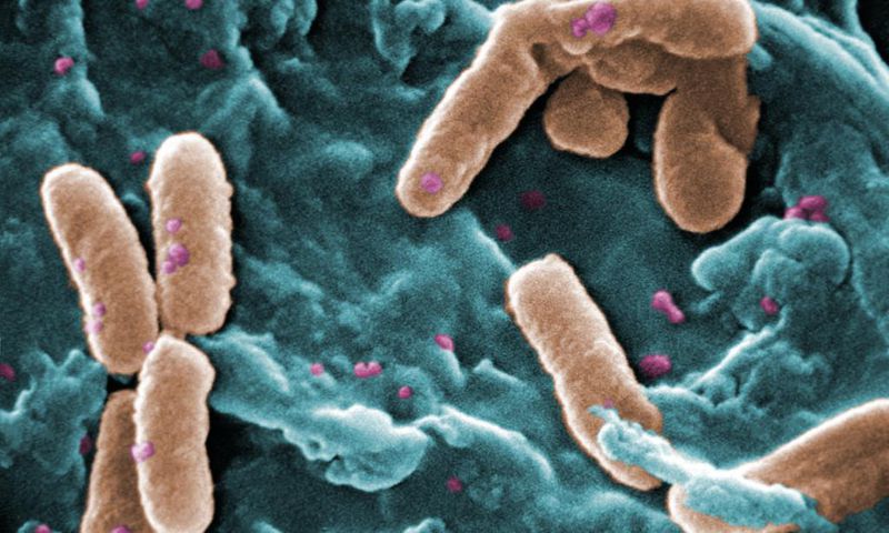 Culture of Secrecy Shields Hospitals With Outbreaks of Drug-Resistant Infections
