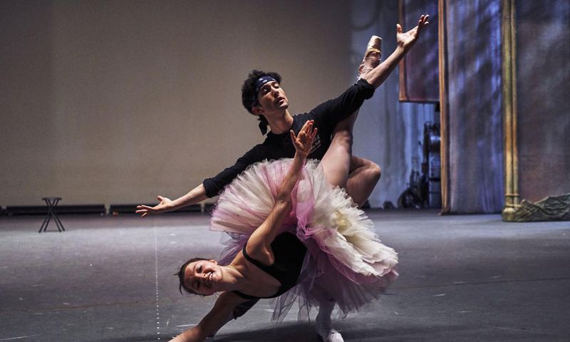 In 'Sleeping Beauty,' the Hard Work of Being Princess (or Prince)