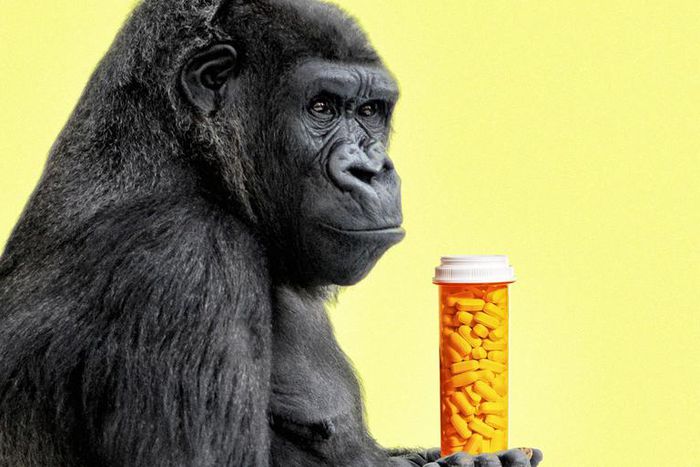 When You Might Need More Testosterone