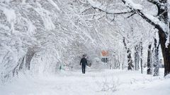 An Afghan man walks along a path under snow-laden trees.