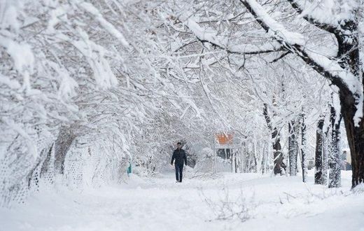 An Afghan man walks along a path under snow-laden trees.