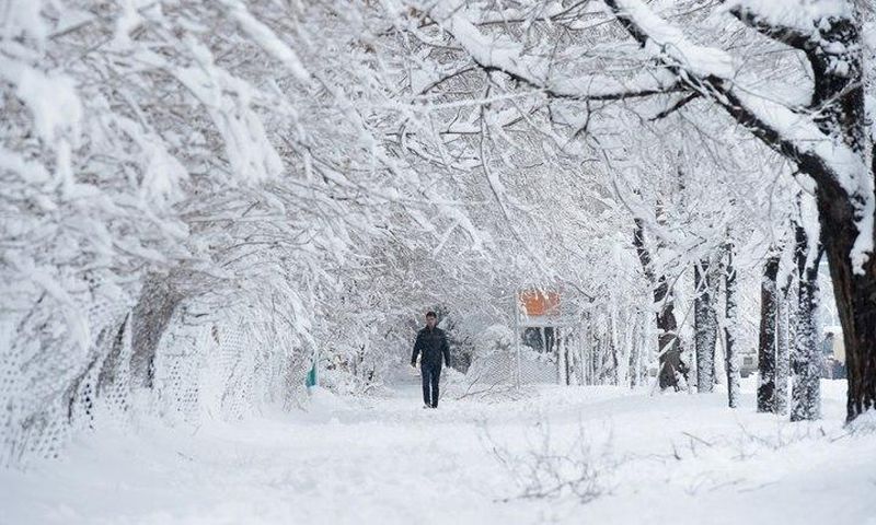 An Afghan man walks along a path under snow-laden trees.