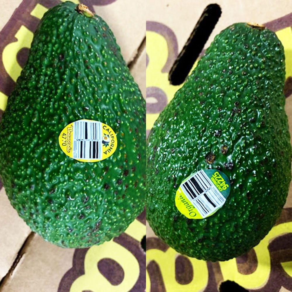 Avocado Lovers, You Need To Read This