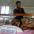 A Yemeni student looks at a millennia-old mummy on display at Sanaa University