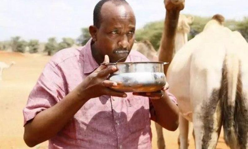 ___6635833___https:______static.pulse.com.gh___webservice___escenic___binary___6635833___2017___5___6___17___DUALE