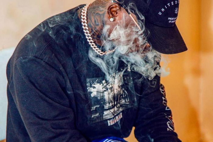 Harmonize (Instagram)