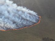 Image of fire blazing through parts of the Mt Kenya forest