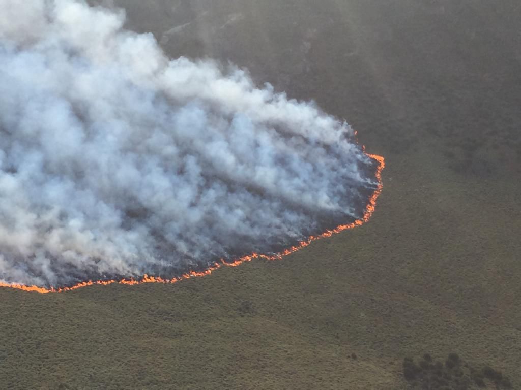 Image of fire blazing through parts of the Mt Kenya forest