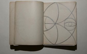 Pavlova's Shoes, Nijinsky's Diary, and Other Dance Treasures From the Public Library