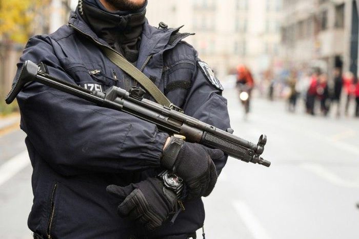 German police swooped on 12 homes and other sites in six states "as part of a federal investigation on suspicion of forming a right-wing extremist organisation"