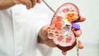 Health risks of living with a single kidney