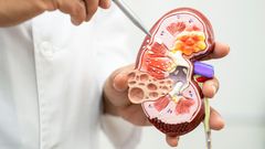 Health risks of living with a single kidney