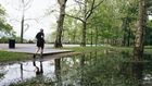 Flooding in Riverside Park: Good for Ducks. Bad for Amtrak Trains Below?
