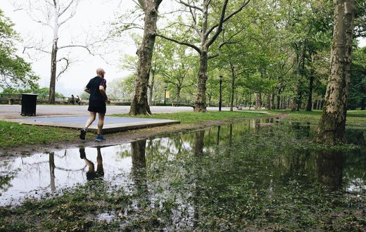 Flooding in Riverside Park: Good for Ducks. Bad for Amtrak Trains Below?