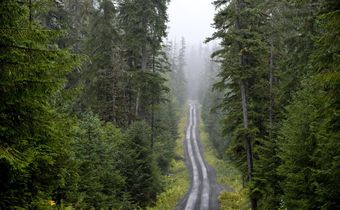 Forest Service Backs an End to Limits on Roads in Alaska's Tongass Forest