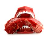 Inside the All-Meat Carnivore Diet