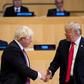 Boris Johnson and Donald Trump (pictured September 2017) appear to be part of a "populist wave" sweeping through democratic countries