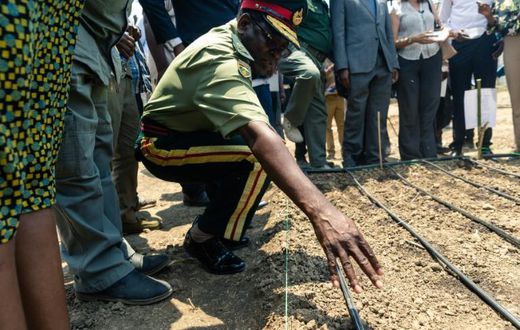 A senior army representative sowing some of the first industrial hemp crop in Zimbabwe at the Harare Central Prison in the capital, on October 11, 2019.The Zimbabwe Industrial Hemp Trust (ZIHT) is the first organization to be issued with a cannabis lic...