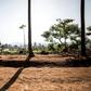Government forces have been unable to prevent the inter-ethnic violence in the province