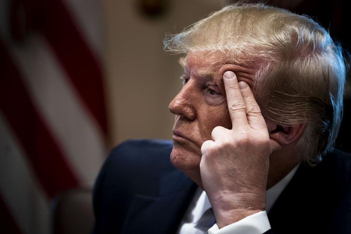 New Charges in Trump Campaign Finance Inquiry Are Unlikely, Prosecutors Signal