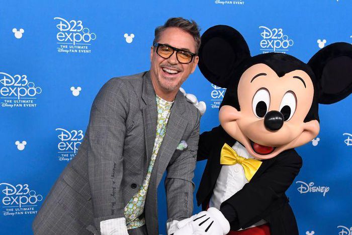 Robert Downey Jr. Was Once Arrested at Disneyland
