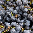 The 20 Healthiest Fall Fruits And Veggies You Should Def Eat This Year