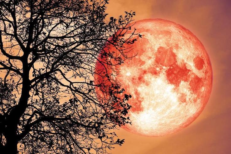 What The Full Strawberry Moon Means For Your Sign